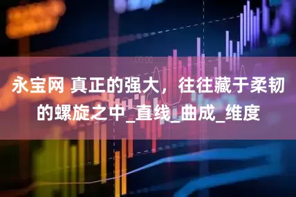 永宝网 真正的强大，往往藏于柔韧的螺旋之中_直线_曲成_维度