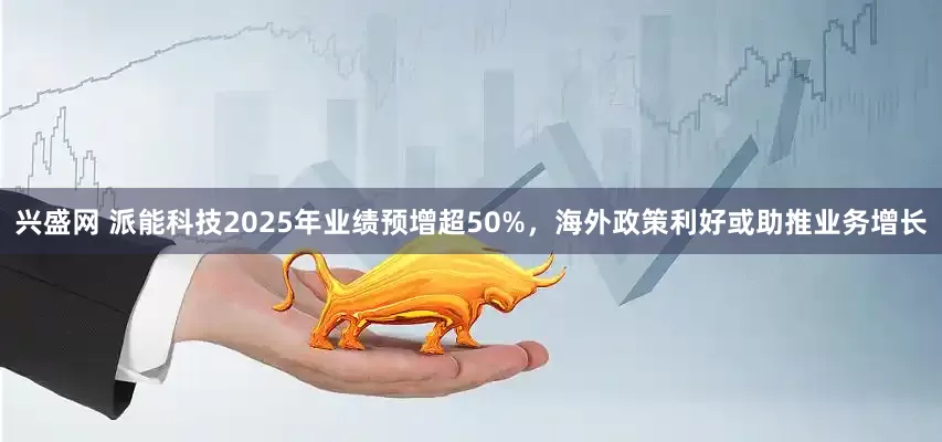 兴盛网 派能科技2025年业绩预增超50%，海外政策利好或助推业务增长
